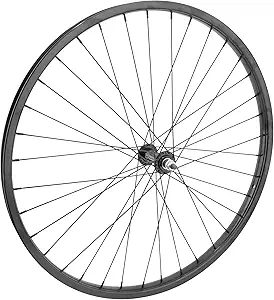 Bicycle Wheel 1