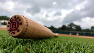 271 vs 110 Baseball Bat