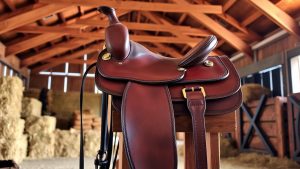 14 Best Saddles to Improve Connection with Your Horse in 1 Month