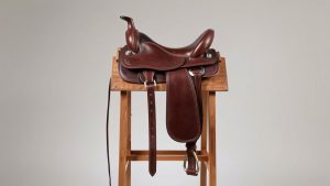 6 Best Saddles to Prevent Chafing on Long Rides