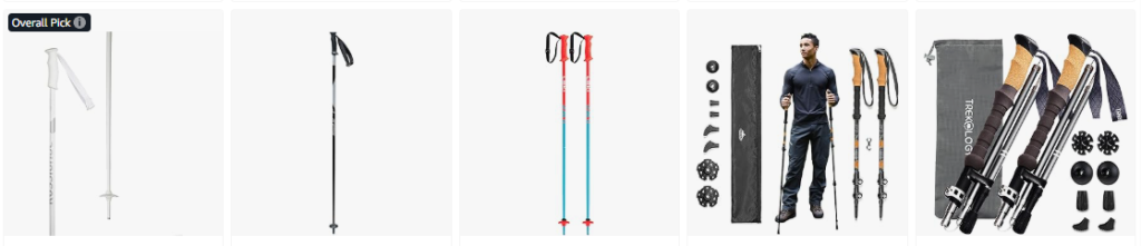 Ski Poles