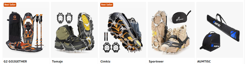 Ski Shoe
