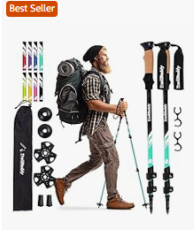Trekking Pole 1