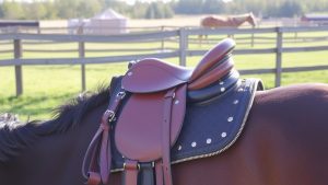15 Best Horse Riding Saddle Ideas to Reduce Strain on Long Rides
