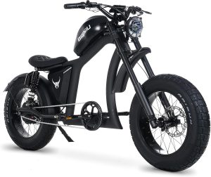 PHATMOTO Electric Chopper