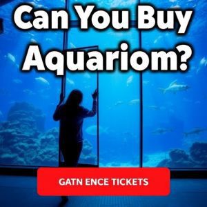 Can You Buy Aquarium Tickets at the Door