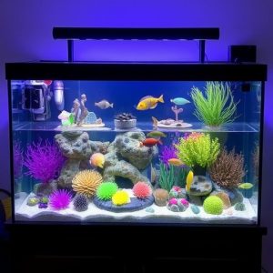 What Size Aquarium