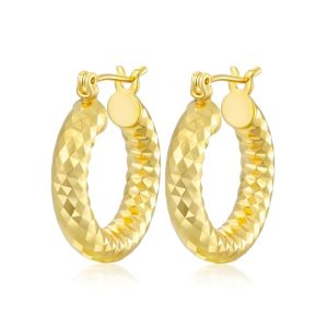 Trendy 14K Gold Plated Hoop Earrings