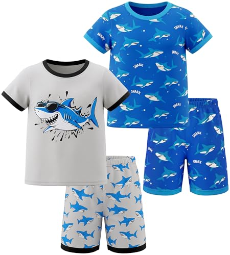 HONGTEYA Toddler Boys Clothes