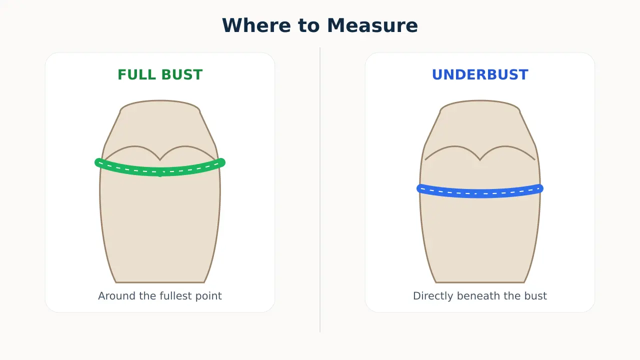 Diagram showing full bust measurement around the fullest point and underbust measurement directly beneath the bust