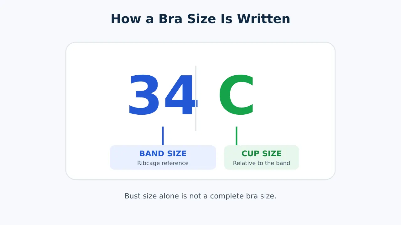 Bra size 34C explained: 34 is the band size and C is the cup size relative to the band